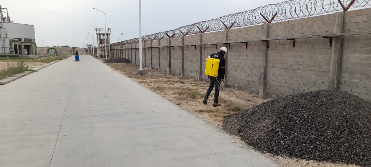 Pest Control Service