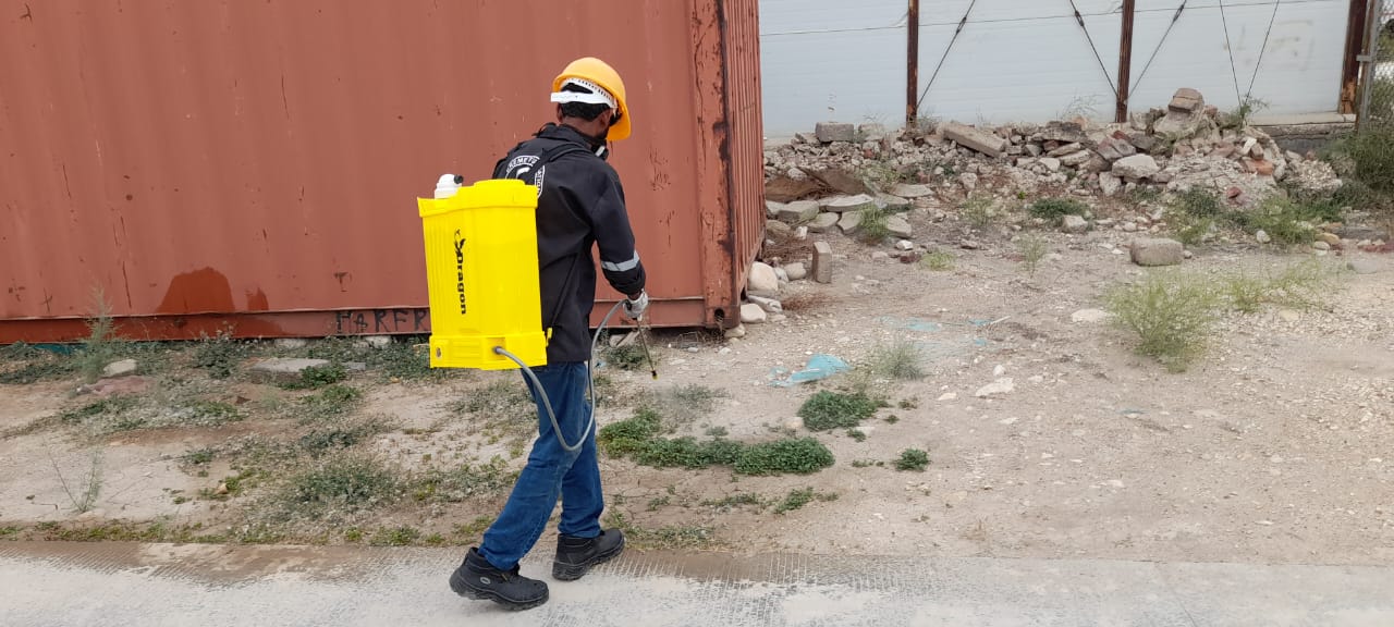 Pest Control Service