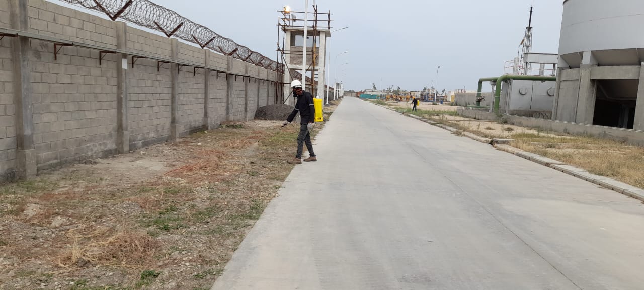 Pest Control Service