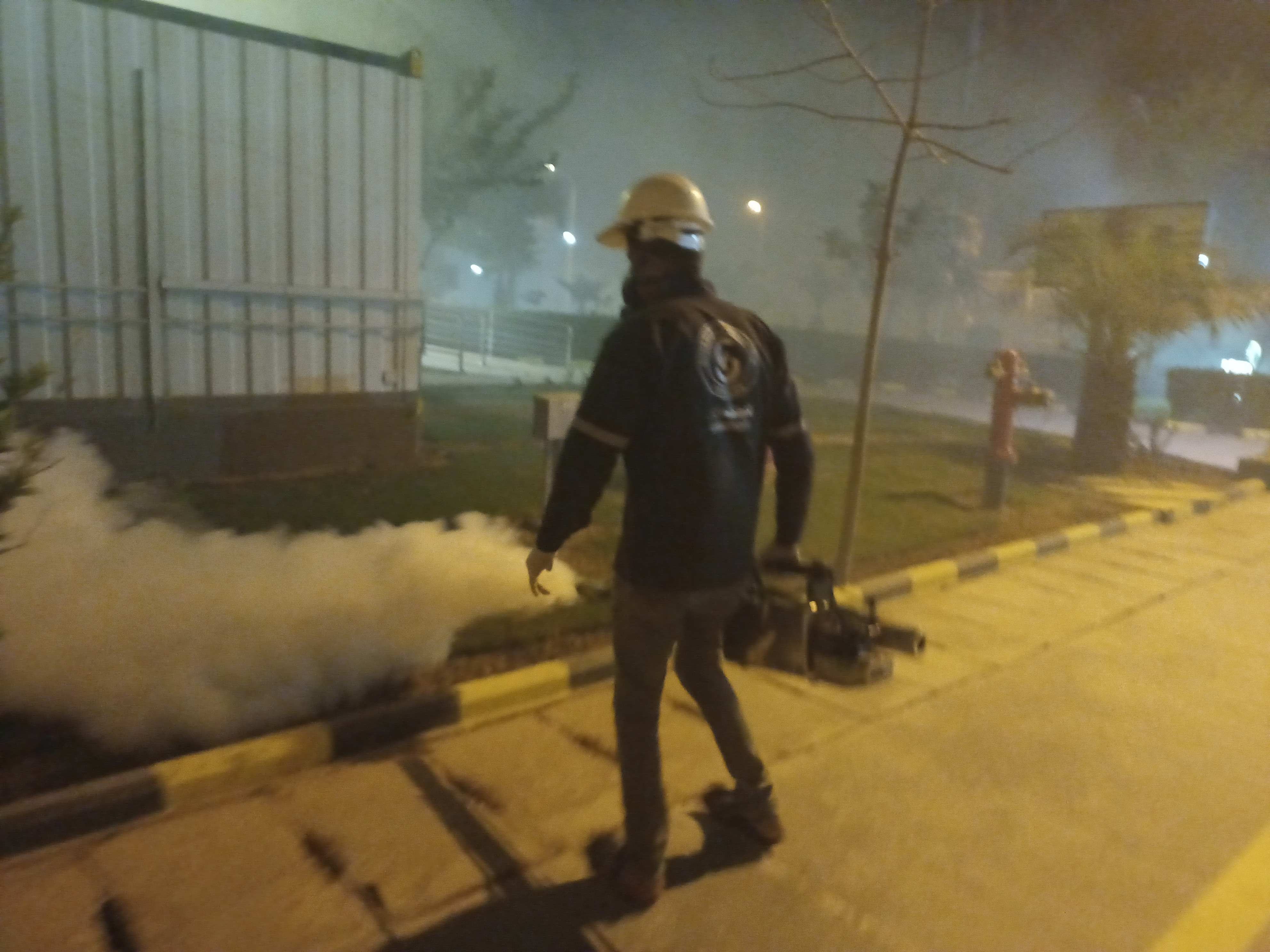 Pest Control Service