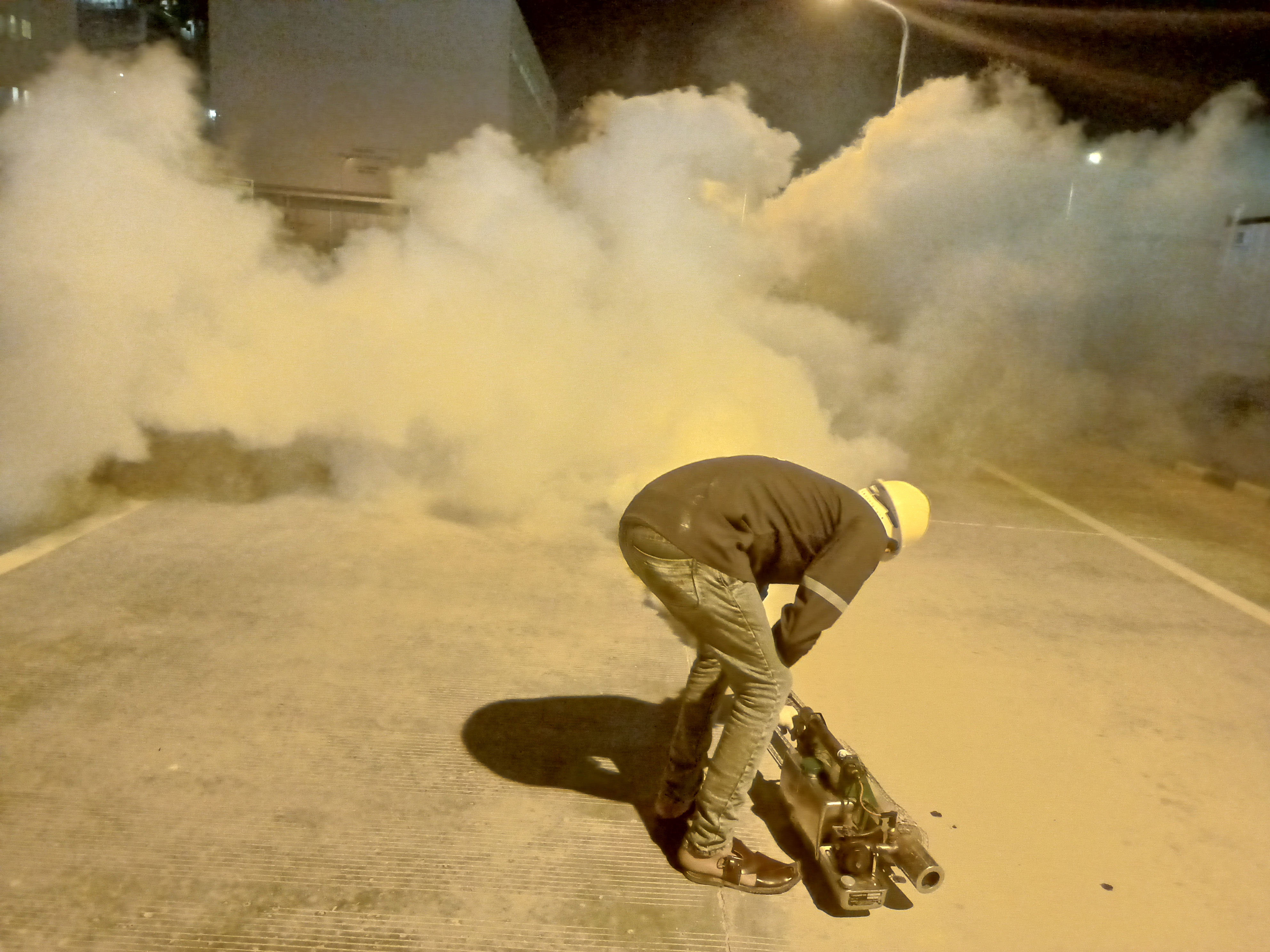 Pest Control Service