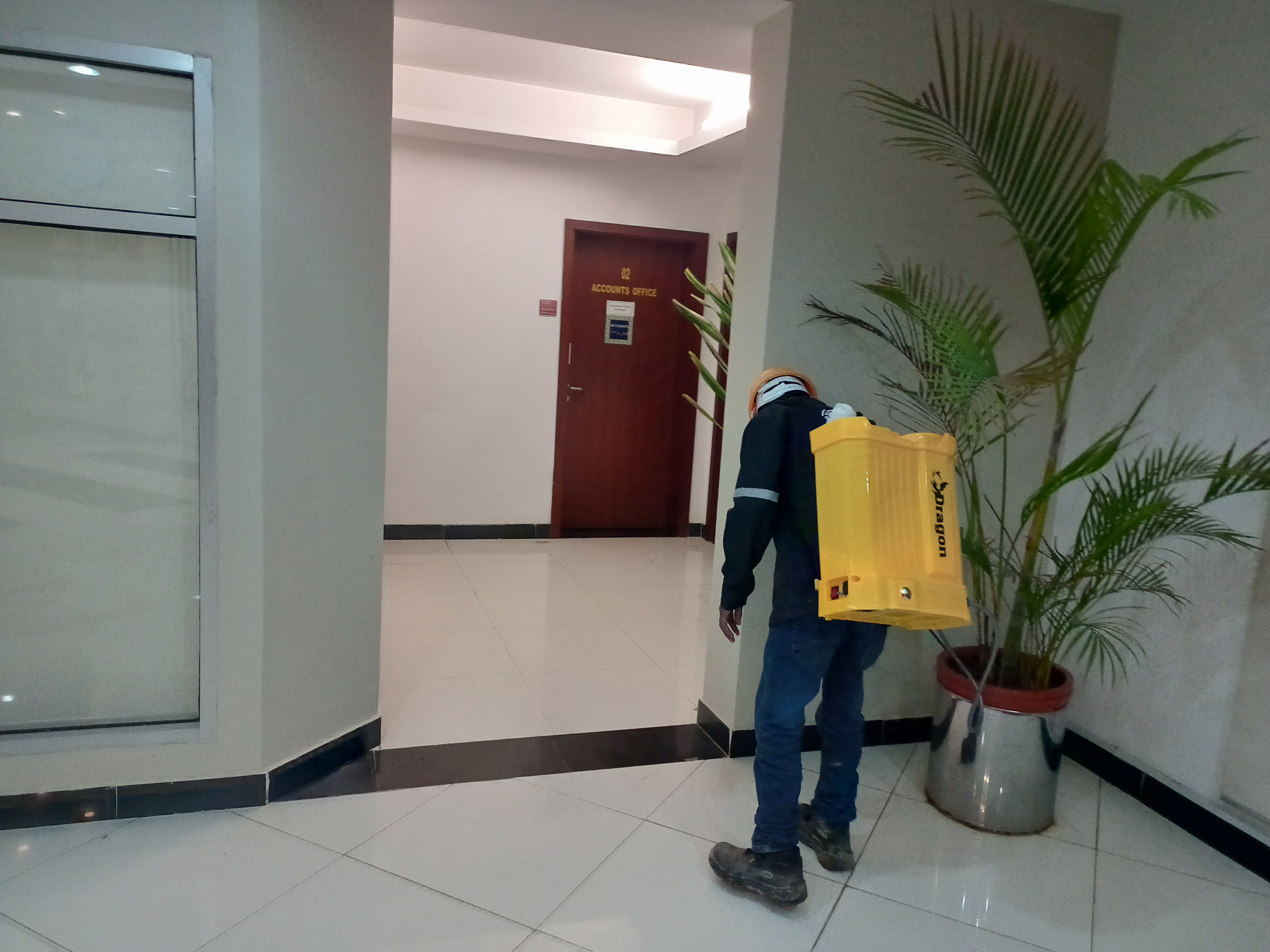 Pest Control Service