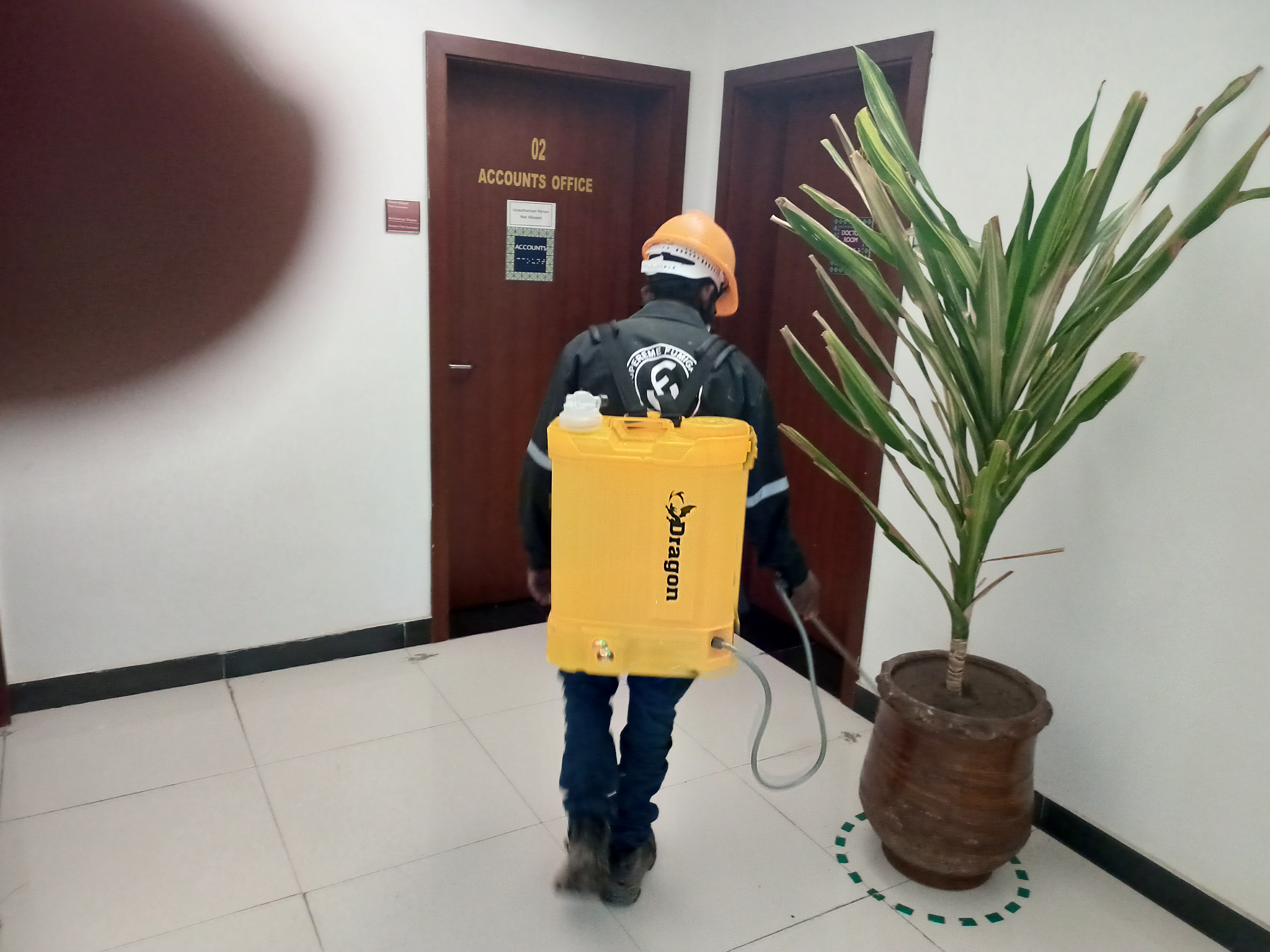 Pest Control Service