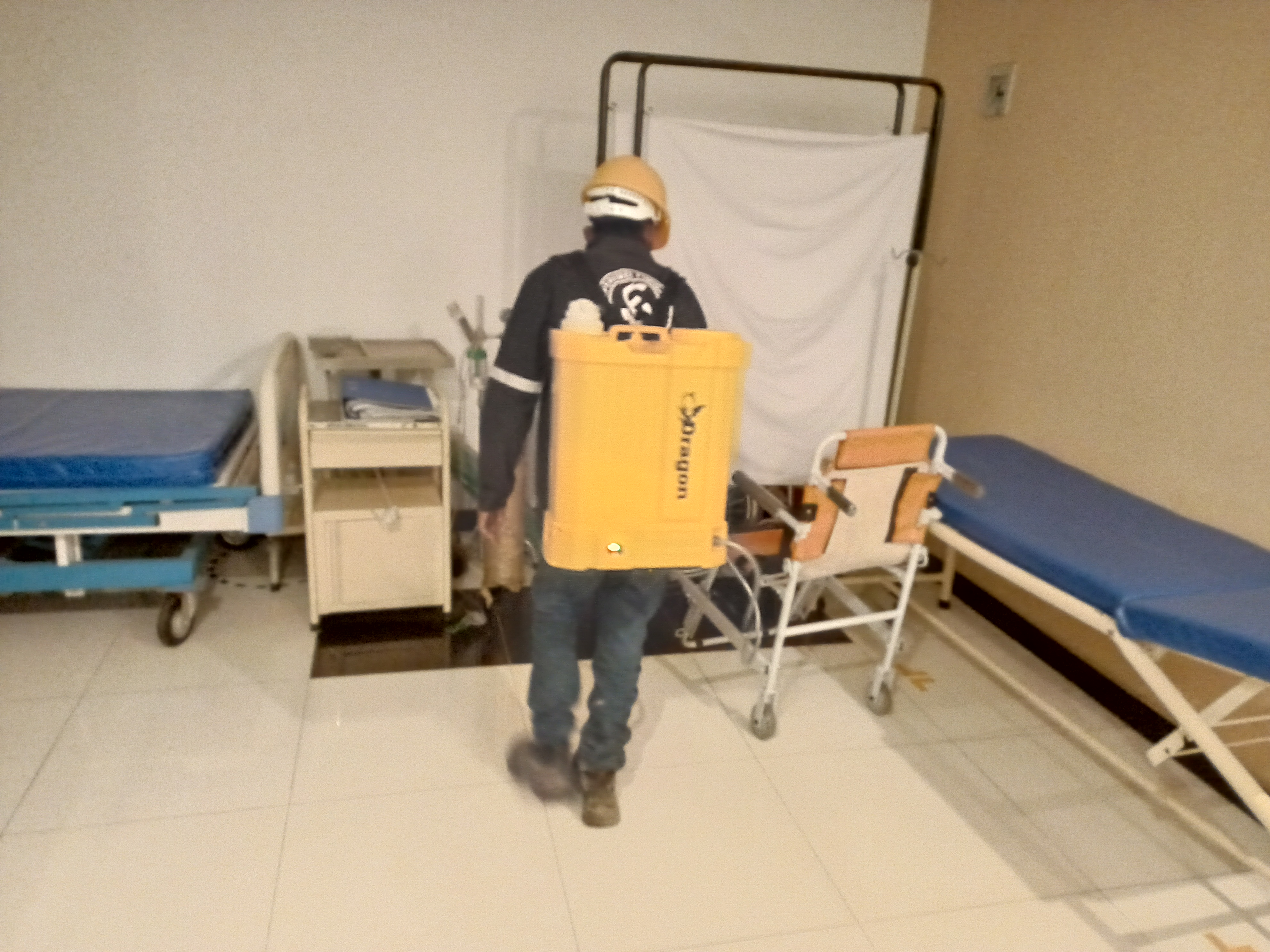 Pest Control Service