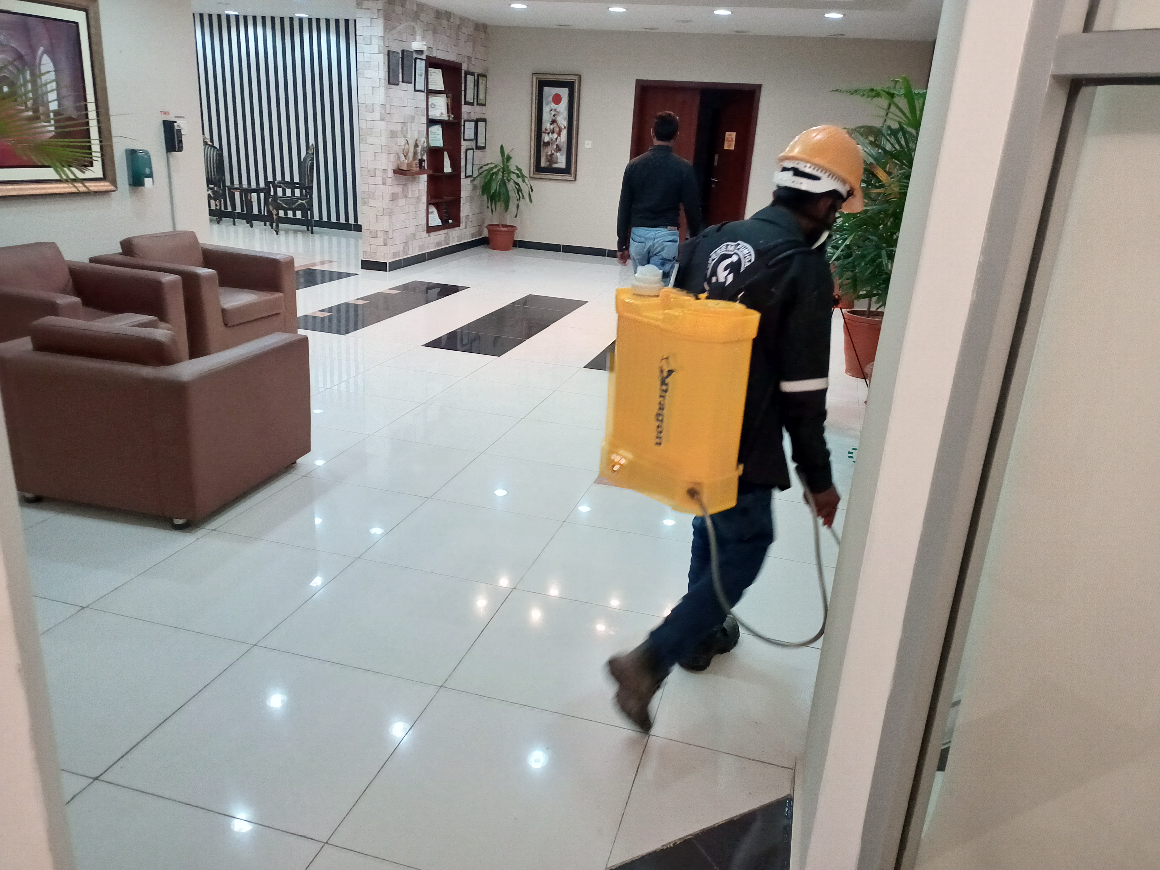 Pest Control Service