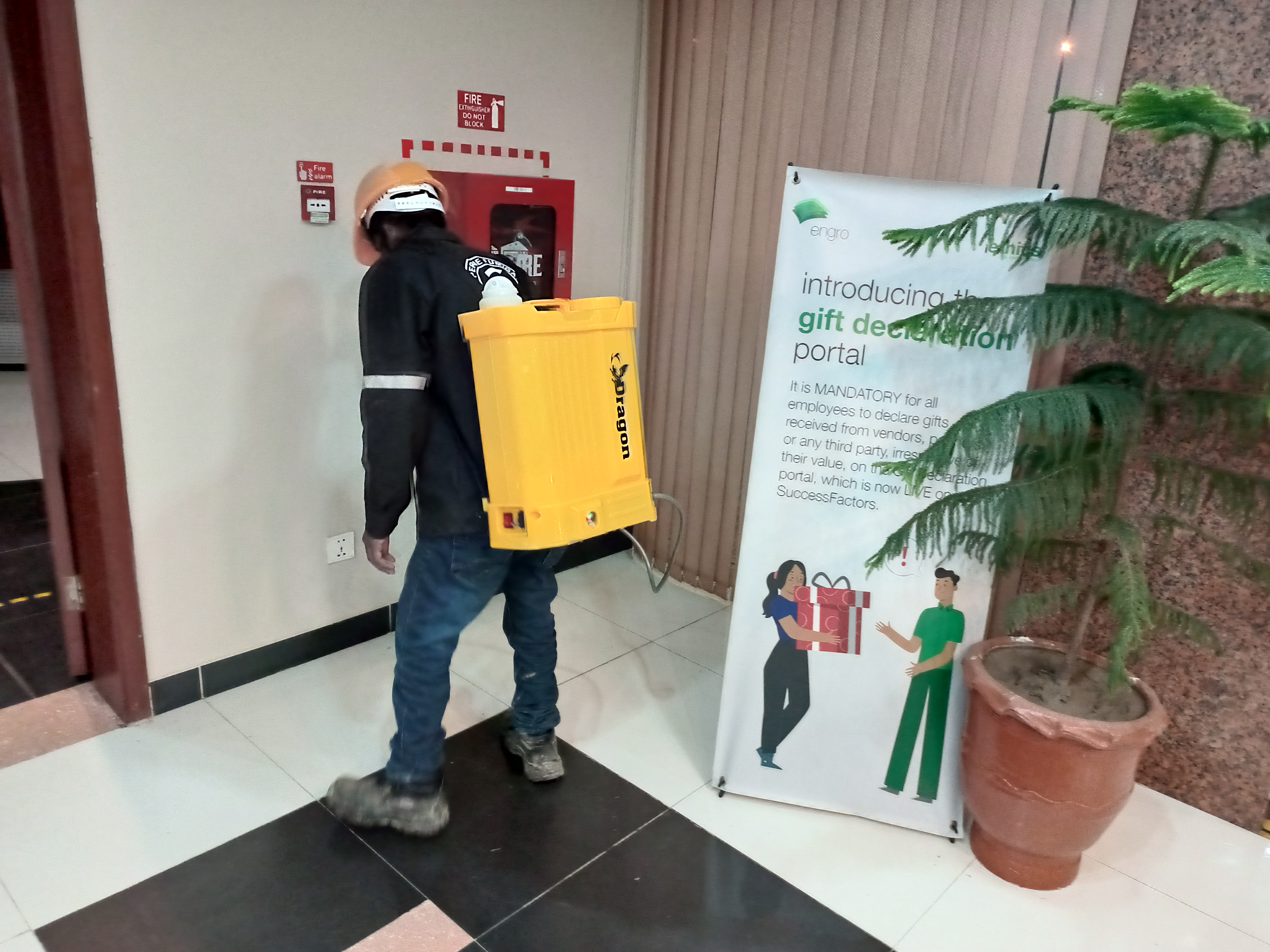 Pest Control Service