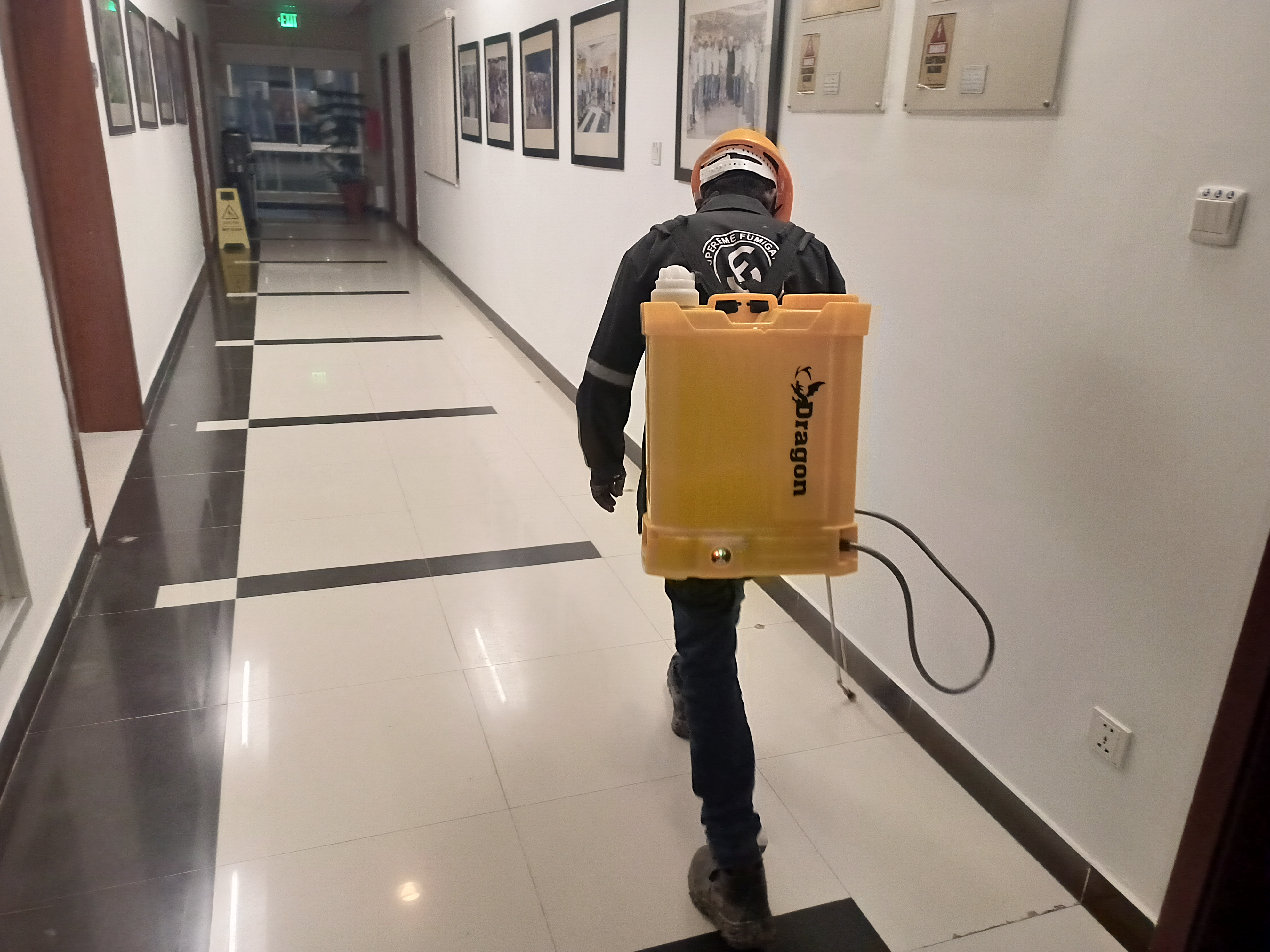 Pest Control Service