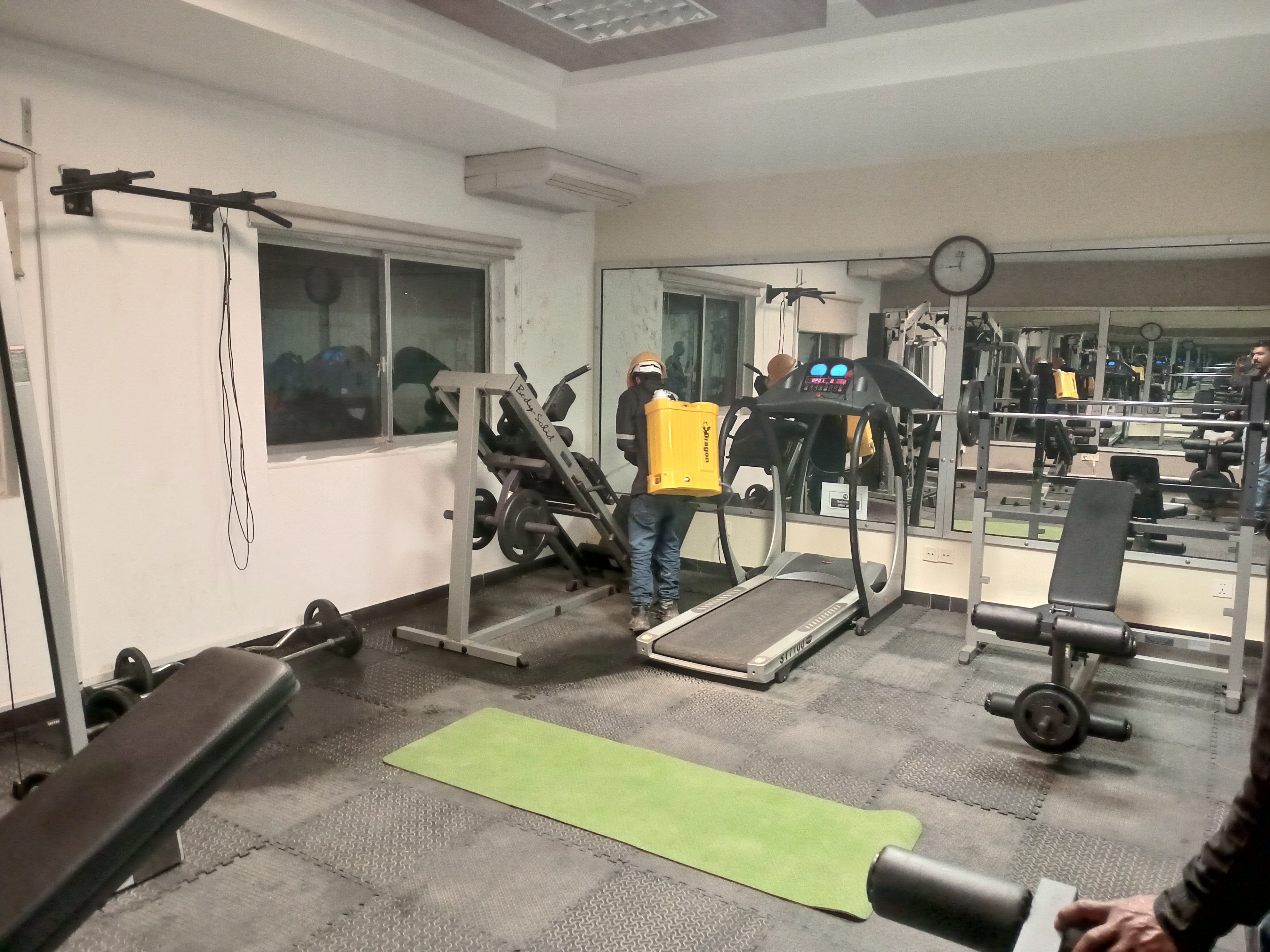 Pest Control Service