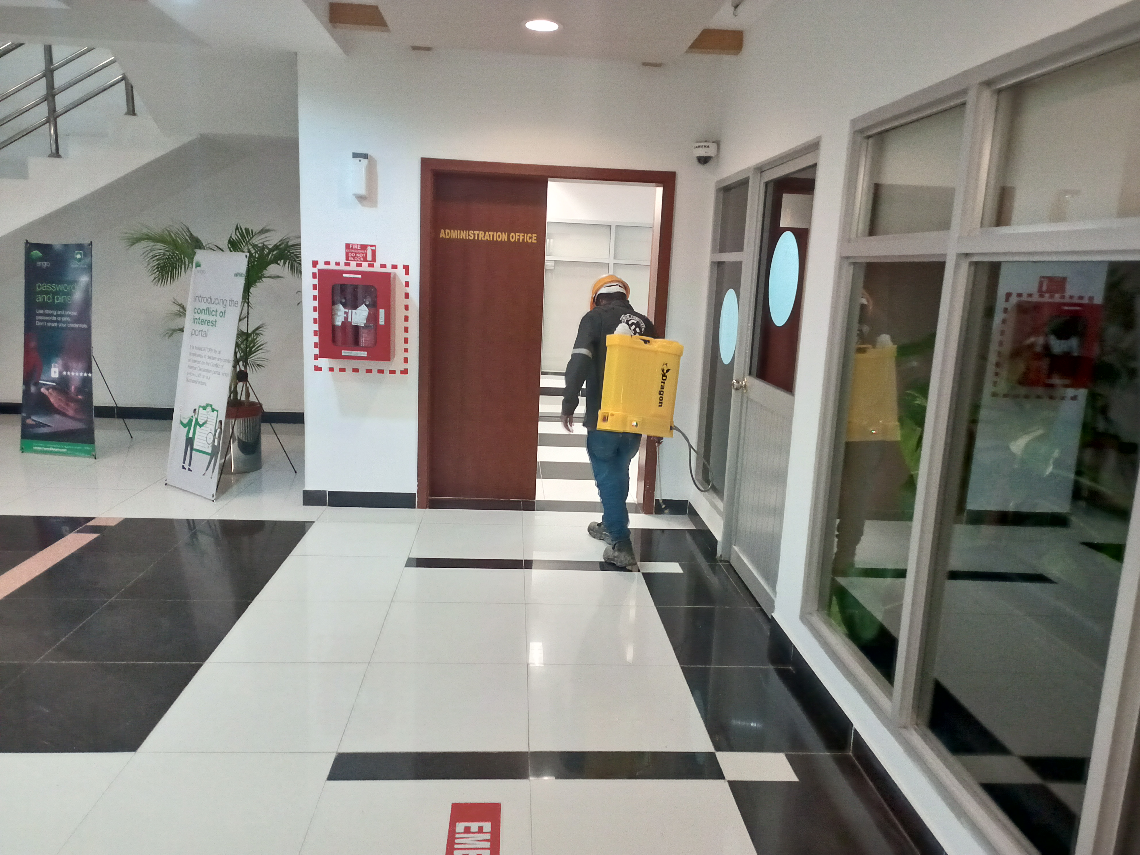 Pest Control Service