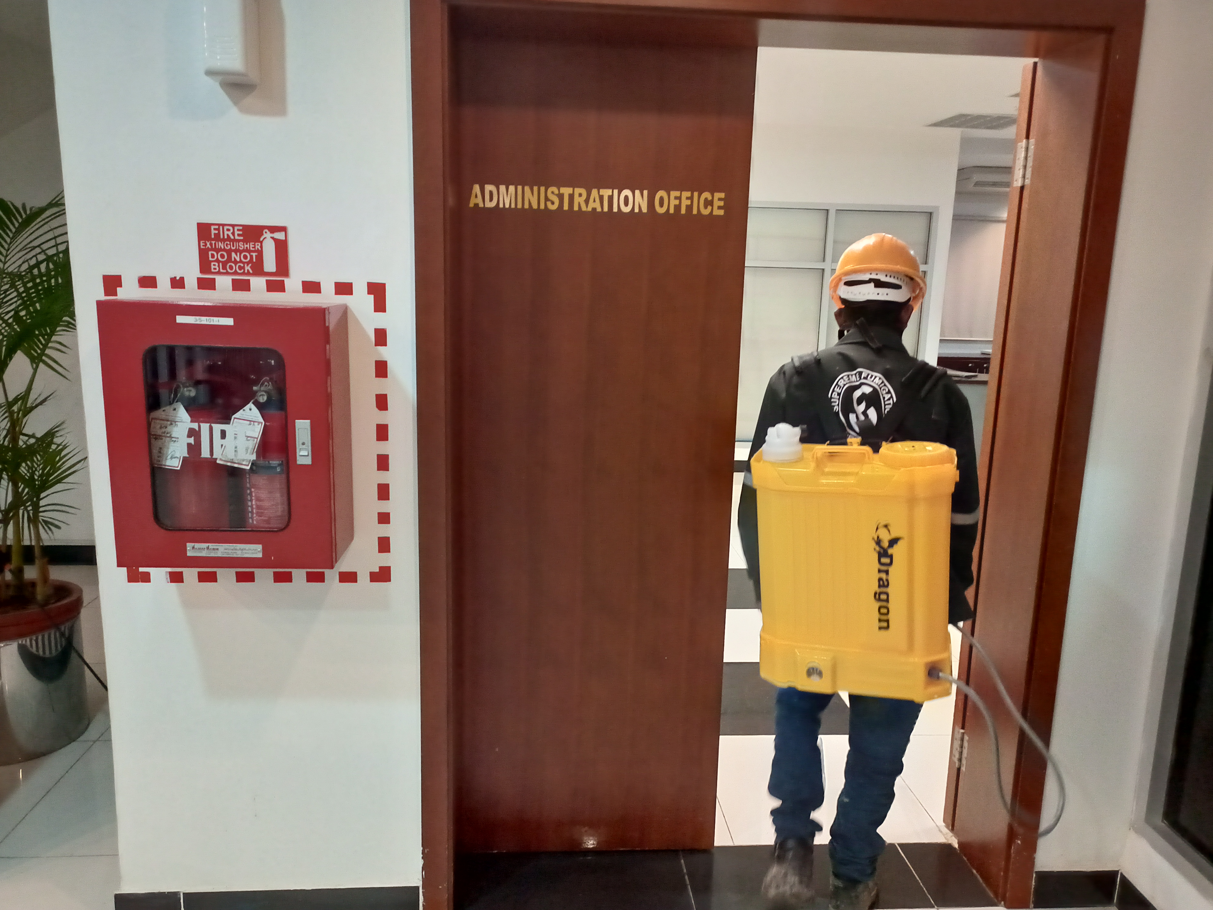 Pest Control Service