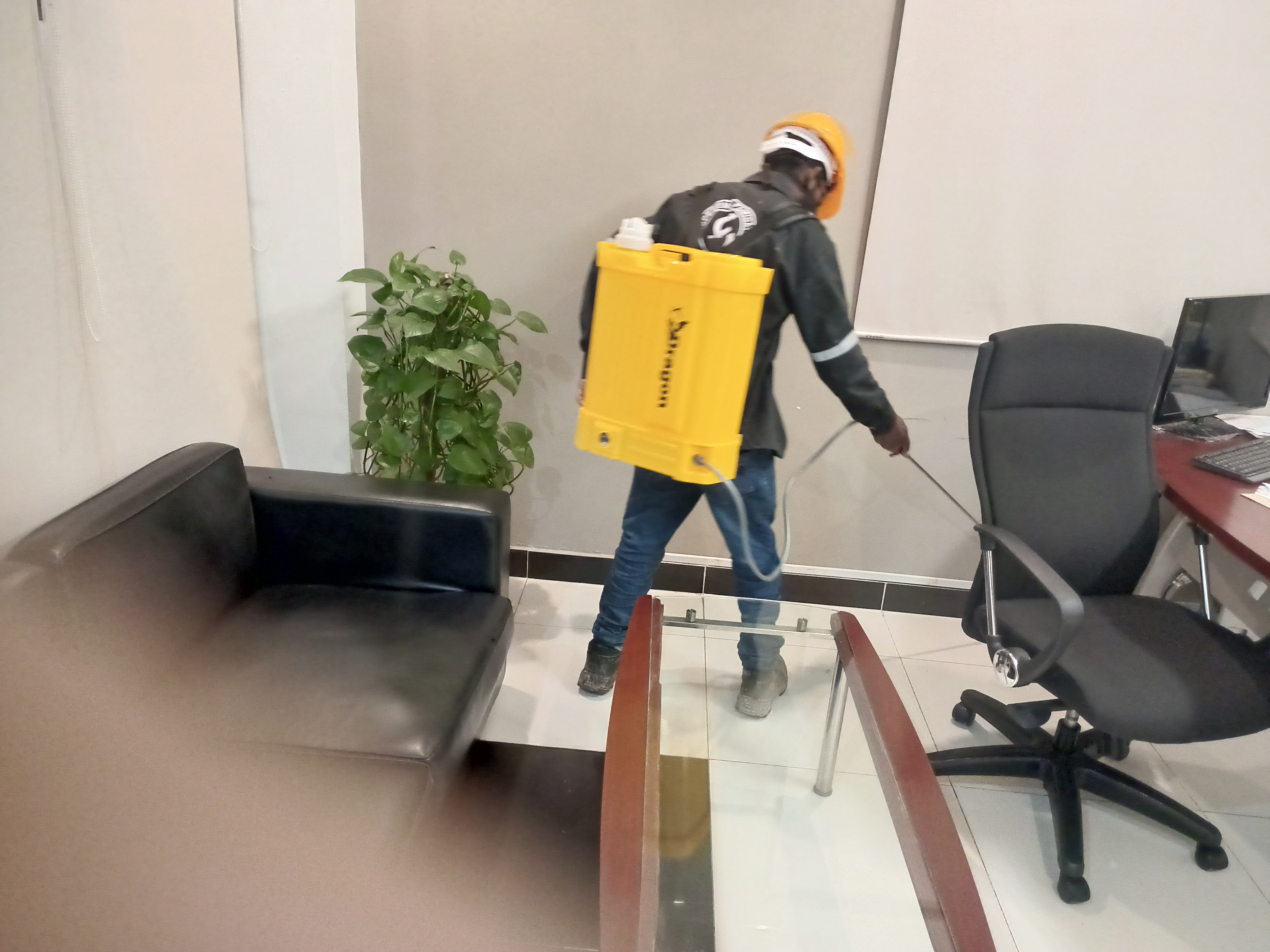 Pest Control Service